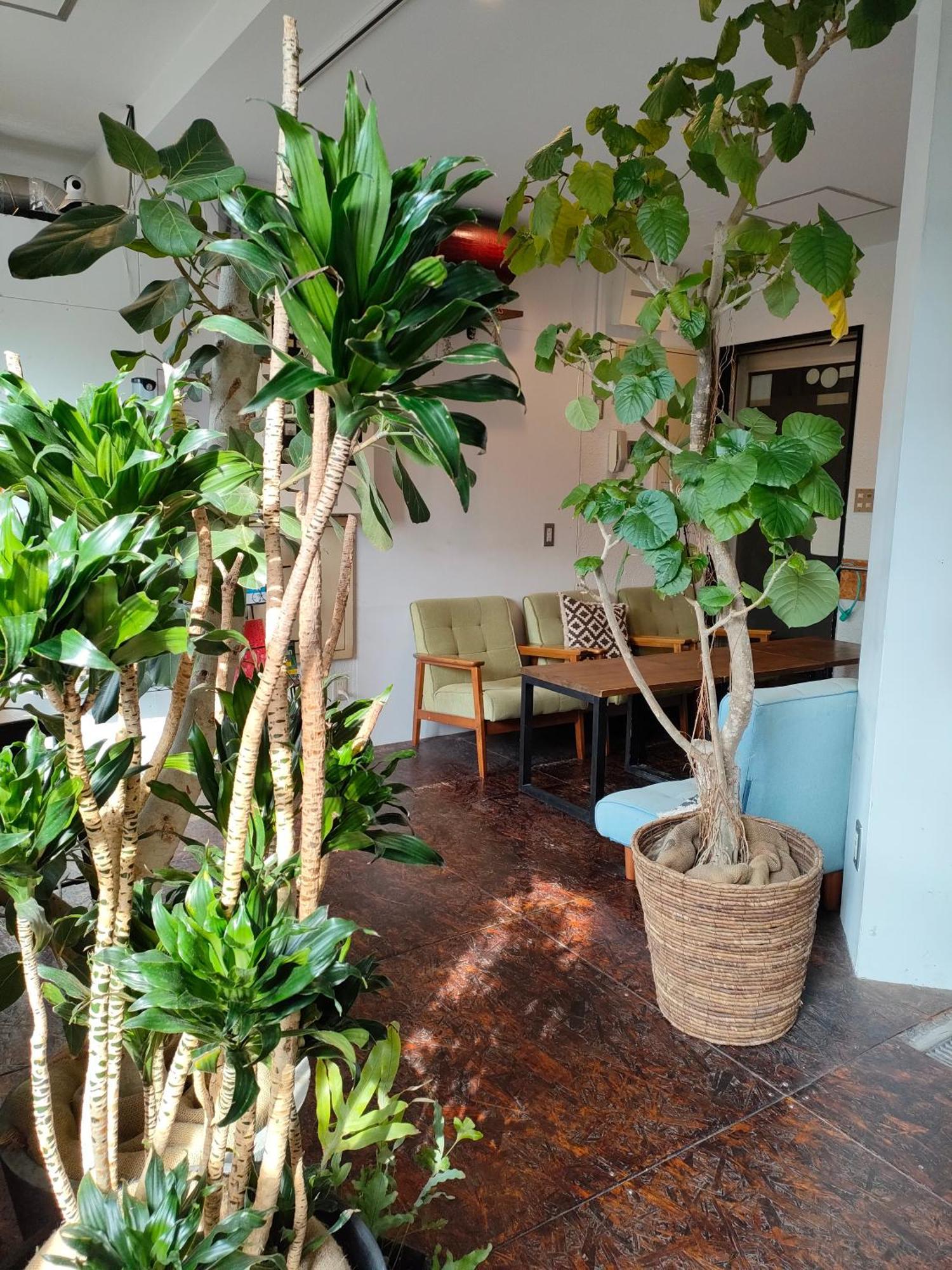 Tokyo Guest House Ouji Music Lounge Exterior foto
